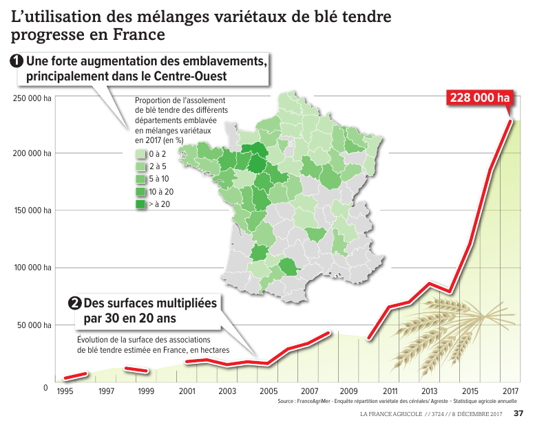 Progression des mélages de blé en France