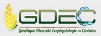 Logo de GDEC